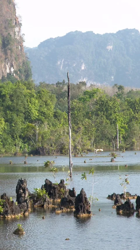 Scenic View of Klong Root Clear Water Canal in Krabi Thailand Stock Footage 328337276