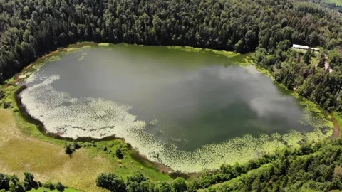 Scenic view of Lake Antre surrounded by forest in Villards d Heria, Jura, F.. Stock Footage 341882640