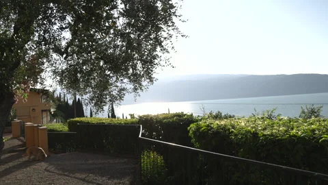 Scenic view of Lake Garda framed by olive trees in Northern Italy Stock Footage 341330876