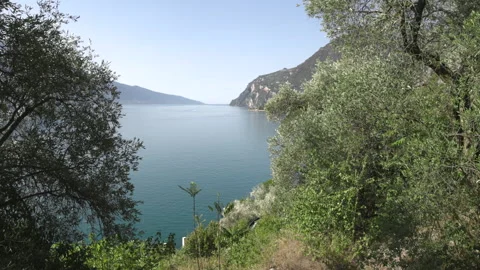 Scenic view of Lake Garda framed by olive trees in Northern Italy Stock Footage 341331489