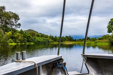 A scenic view looking out from the front of a boat along the Daintree River Stock Photos