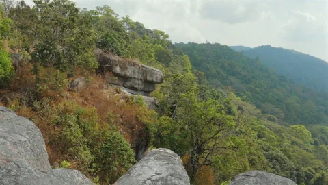 Scenic view of lush green forest and rock formations with cloudy sky Видео 280128588
