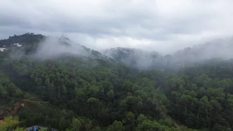 Scenic View of Mist over Pine Forest in the Mountains 4k drone Stock Footage 287989575