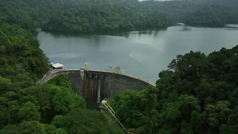 Scenic View of a Modern Dam Surrounded by Lush Greenery and Water Stock Footage 311575450