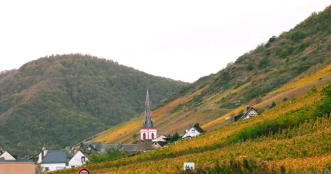 Scenic view of Moselle river valley winery landscape, Vineyards in autumn c.. 動画素材 316920704