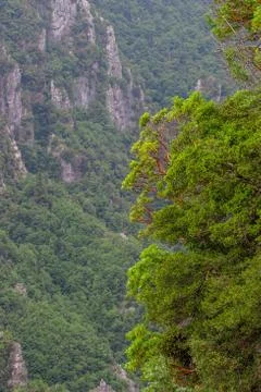 Scenic view from mount Olympus Foto stock