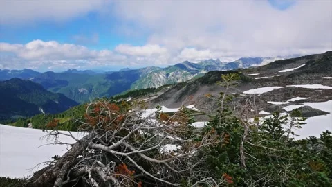 Scenic View of Mount Rainier from Spray Park Trail, Washington State, USA Stock Footage 332083269