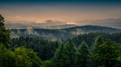 Scenic view on the mountain forest early in the morning. Stock Photos