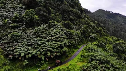 Scenic view of the mountain landscape with a forest and the water flow Stock Footage 275499040