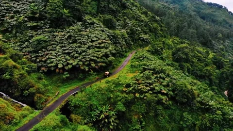Scenic view of the mountain landscape with a forest and the water flow Stock Footage 275499094