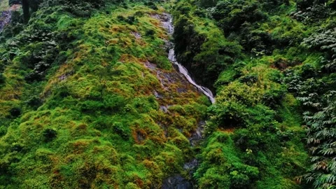 Scenic view of the mountain landscape with a forest and the water flow Stock Footage 275499098