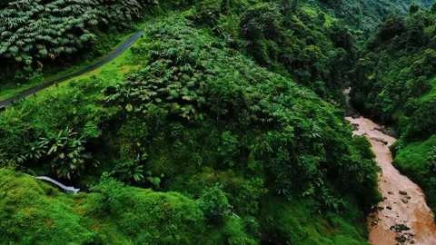 Scenic view of the mountain landscape with a forest and the water flow Stock Footage 275499108
