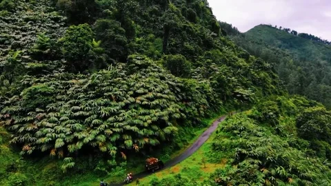 Scenic view of the mountain landscape with a forest and the water flow Stock Footage 275499135