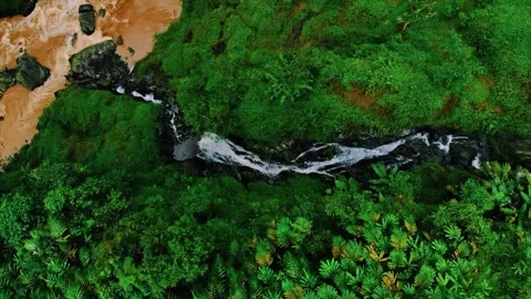 Scenic view of the mountain landscape with a forest and the water flow Stock Footage 275499136