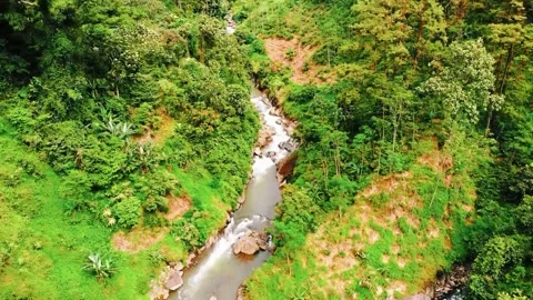 Scenic view of the mountain landscape with a forest and the water flow Stock Footage 275499137