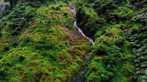 Scenic view of the mountain landscape with a forest and the water flow Stock Footage 275499161