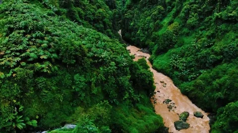 Scenic view of the mountain landscape with a forest and the water flow Stock Footage 275499175