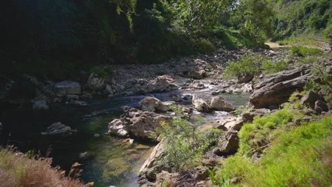 Scenic view of the mountain landscape with a forest and the water flow Stock Footage 275499499