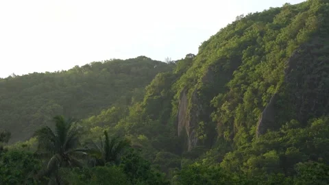Scenic view of the mountain landscape with a forest and the water flow Stock Footage 275788920