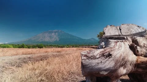 Scenic View of Mountain Landscape with Old Tree Stump and Dry Grass Field Видео 344246671