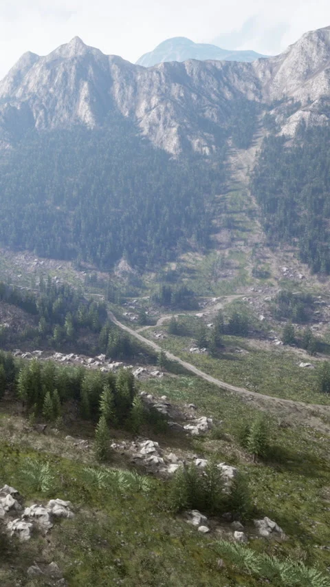 Scenic view of a mountain landscape with trees and a winding path Stock Footage 341270457