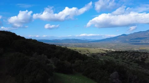Scenic view of mountain peaks and clouds behind olive tree foliage Stock Footage 343993559