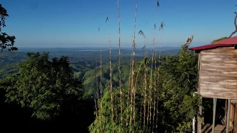 Scenic view of mountain range landscape with wooden cottage and bamboo tree.. Video stock 345531054