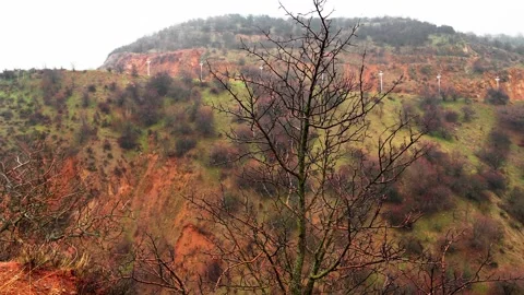 Scenic view of mountain slope and bare trees during rain 스톡 동영상 344124832