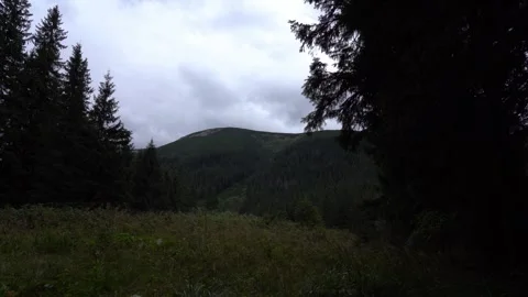 Scenic view of mountains and trees in a forest during cloudy weather Video stock 327124189