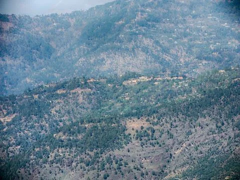 Scenic view of mountains in pine forests Stock-Fotos