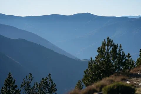Scenic view of mountains with trees. Stock Photos