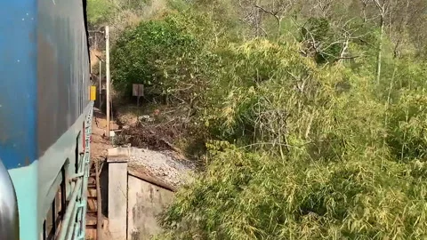 A scenic view from a moving train passing through a forested area Stock Footage 306774482