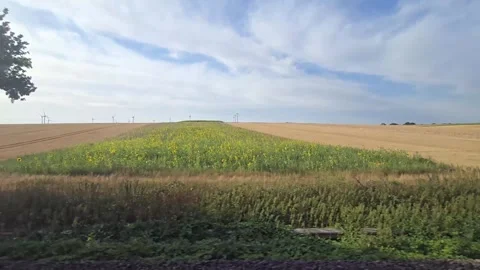Scenic view from a moving train window of harvested agricultural fields, gr.. Stock Footage 341900354