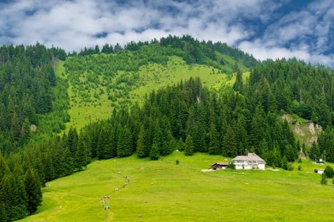 Scenic view of Muntele Rosu (Red Mountain) area, in Cheia - Prahova county, R Stock Photos