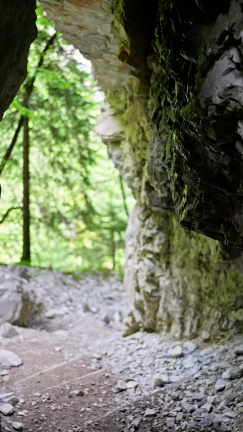 A Scenic View Offering a Captivating Look at a Cave Entrance Surrounded by Lush Stock Footage 314563832