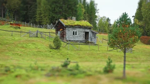 Scenic view of an old cabin, showcasing its weathered wood and natural sod Video stock 281537978
