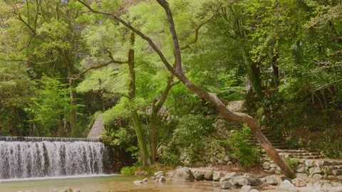 Scenic view of old stone steps and an artificial waterfall Vídeos de archivo 332866247