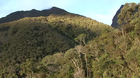 Scenic view over mountain rainforest canopy Stock Footage 54212112