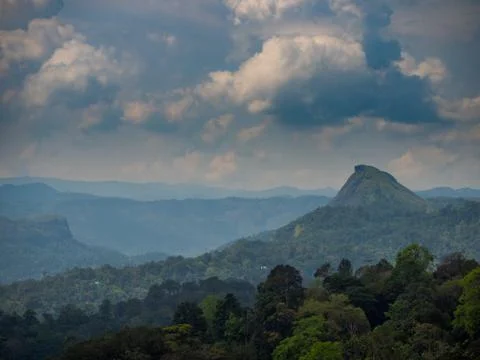 Scenic view over trees in rainforest with mountains on overcast day in Munnar Foto stock