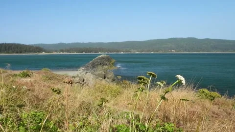 Scenic view of the pacific ocean overlooking a jetty Stock-Footage 161518112