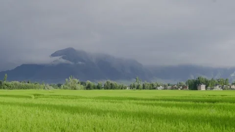 A scenic view of the paddy field, a tiny village and mountains in the back  Stock-Footage 315854276