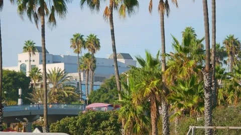 A scenic view of palm trees and buildings in Santa Monica, Los Angeles, Cal.. Stock Footage 282893644