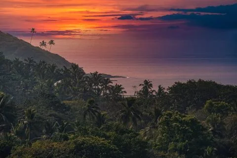 Scenic View Of Palm Trees And Beach At Sunset. Tropical sunset. Coconut palm Stock Photos