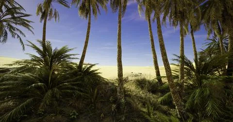 Scenic view of palm trees framing a tranquil beach landscape Ilustración de archivo