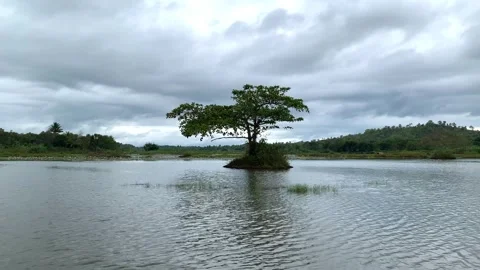 Scenic view of periodic river. Stock Footage 242759297