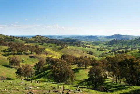 Scenic View Foto stock