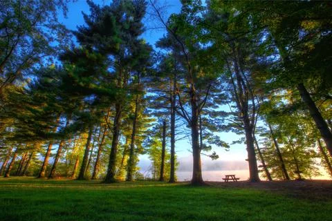 Scenic view with picnic table Foto stock