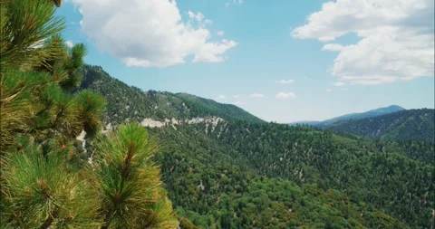 Scenic View of Pine Forested Mountains Stock Footage 323366150