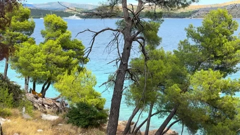 Scenic view of pine trees on the Adriatic coast with a luxury yacht sailing Vídeos de archivo 341663346
