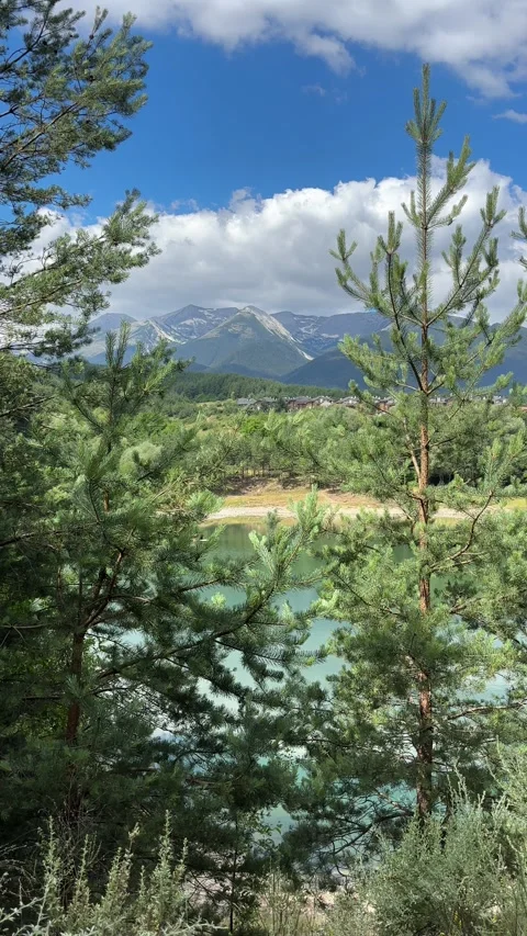 Scenic View: Pine Trees, Turquoise Lake &amp; Pirin Mountains 스톡 동영상 315770460